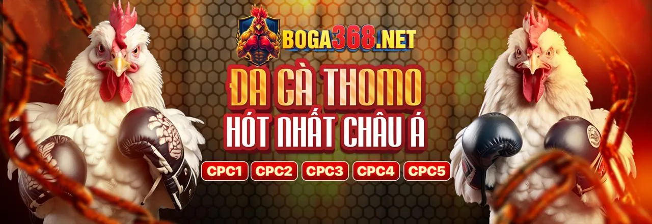Đá gà trực tiếp tại JN88 link vào 2026 với không khí sôi động và các trận đấu kịch tính.